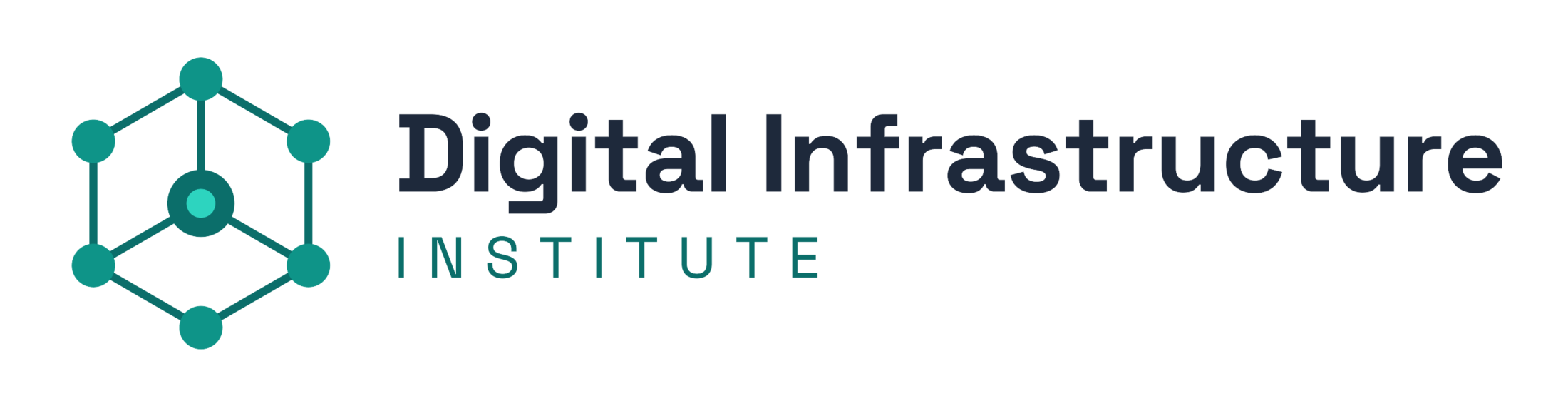 Digital Infrastructure Institute